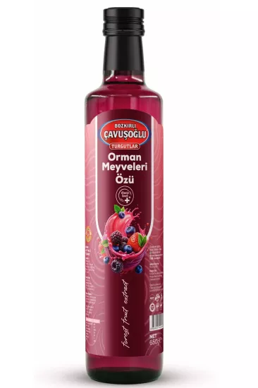 Orman Meyveleri Özü 650G